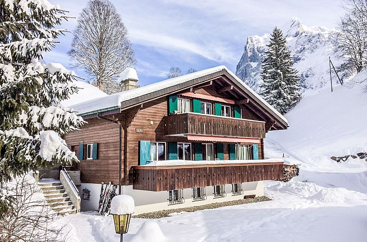 Appartement Chalet Bienli Mitte