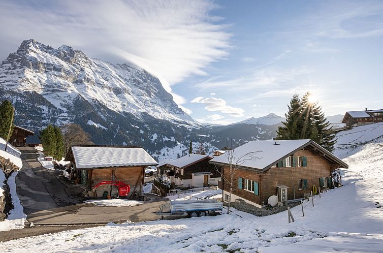 Appartement Chalet Bienli Mitte