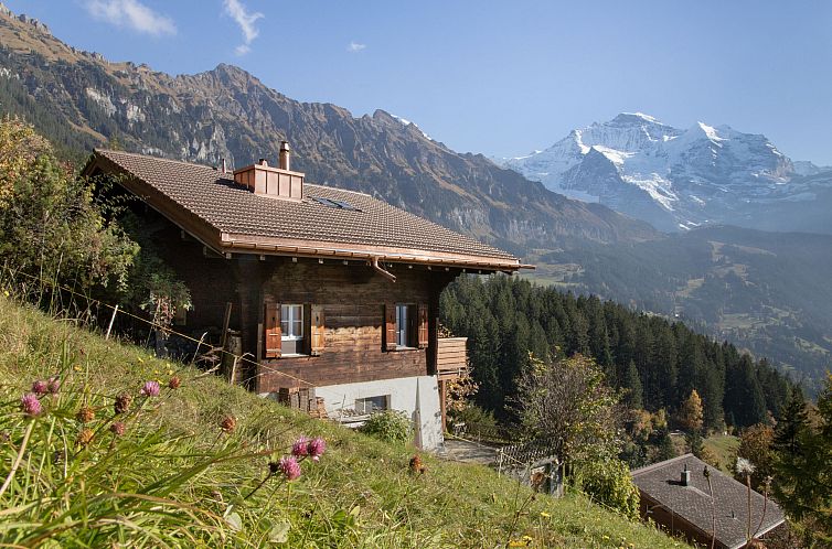 Appartement Jungfrau a d Ledi