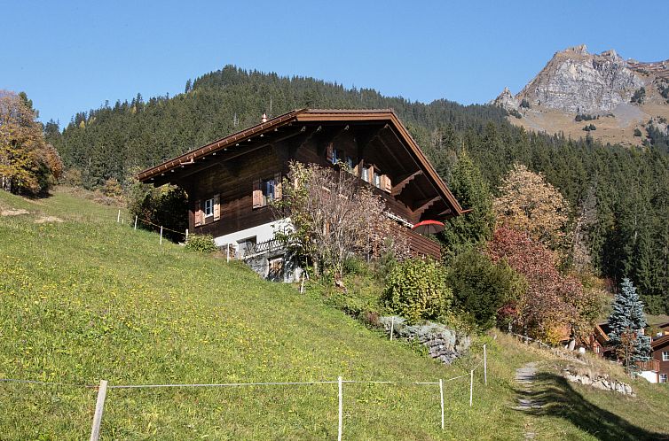 Appartement Jungfrau a d Ledi