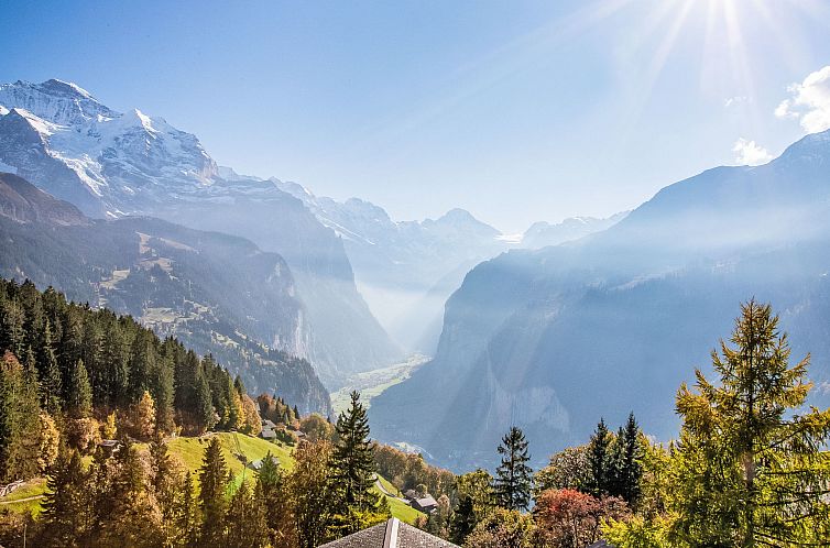 Appartement Jungfrau a d Ledi