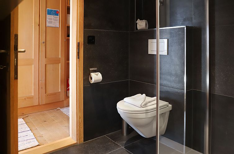 Appartement Jungfrau a d Ledi
