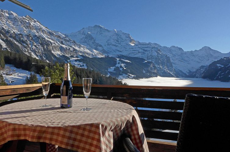Appartement Jungfrau a d Ledi