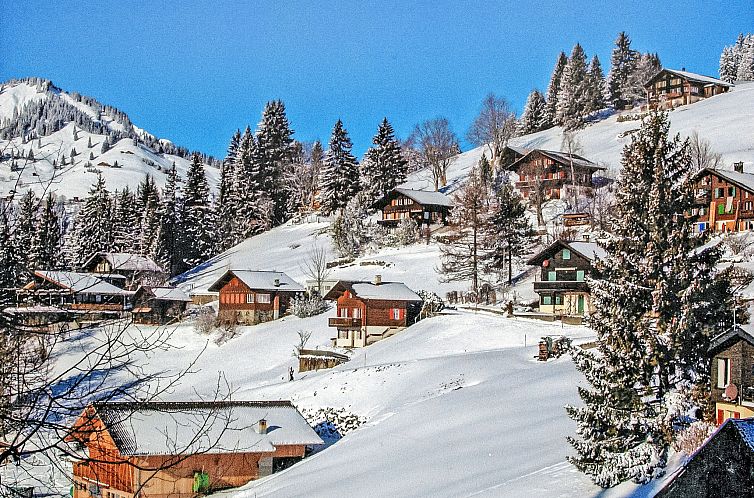 Appartement Jungfrau a d Ledi