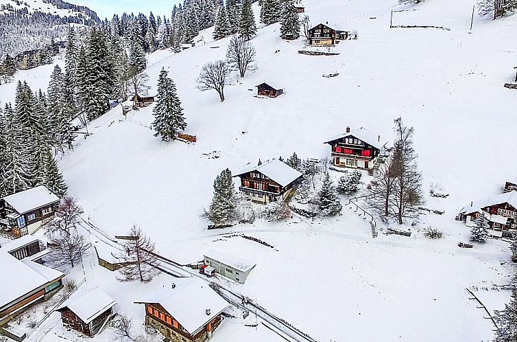Appartement Jungfrau a d Ledi