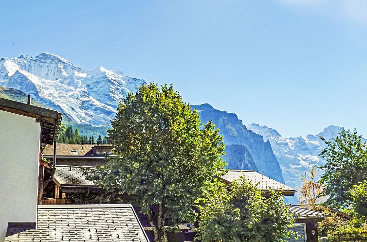 Appartement Goldenhorn Apt.F