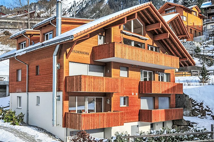 Appartement Goldenhorn Apt.F