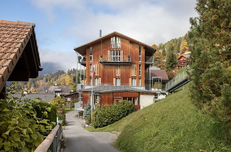 Appartement Schweizerheim Apt.5