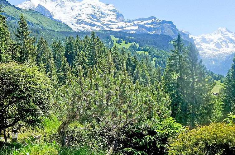 Vakantiehuis Zwärgli