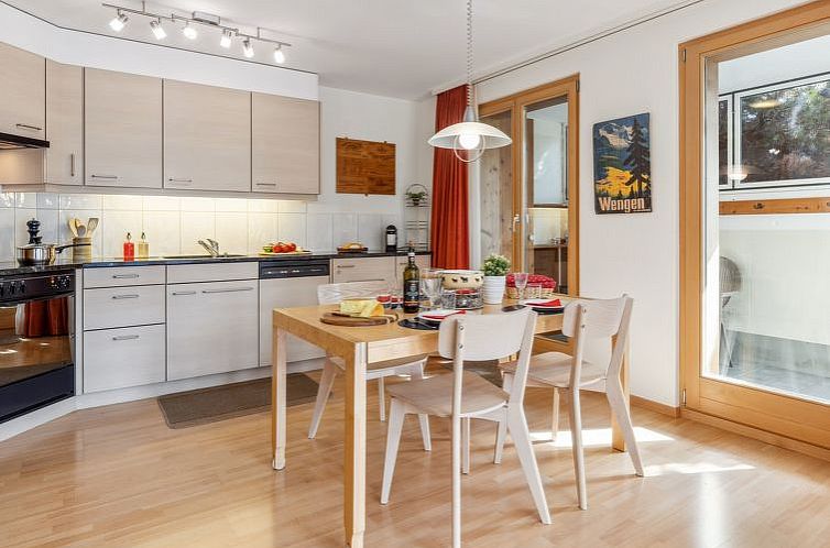 Appartement Silberhorn Apt. V