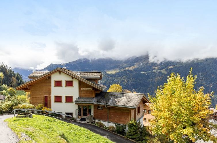Appartement Silberhorn Apt. V