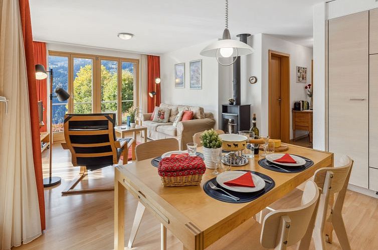Appartement Silberhorn Apt. V