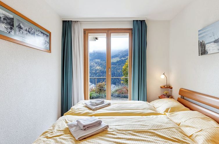 Appartement Silberhorn Apt. V