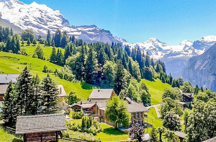 Appartement Silberhorn Apt. V