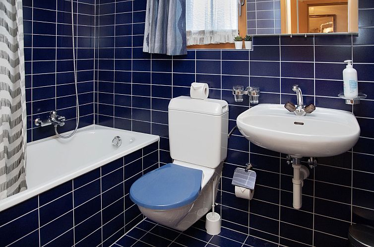 Appartement Chäs Gruebi Apt.S