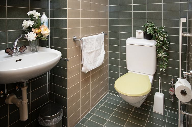 Appartement Chäs Gruebi Apt.S
