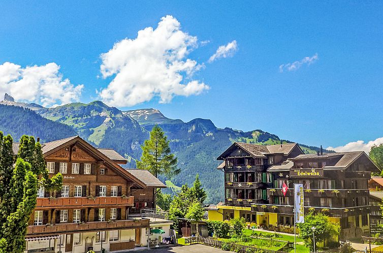 Appartement Alpina Apt. CH