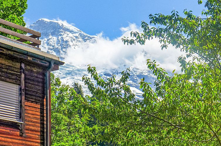 Appartement Alpina Apt. CH