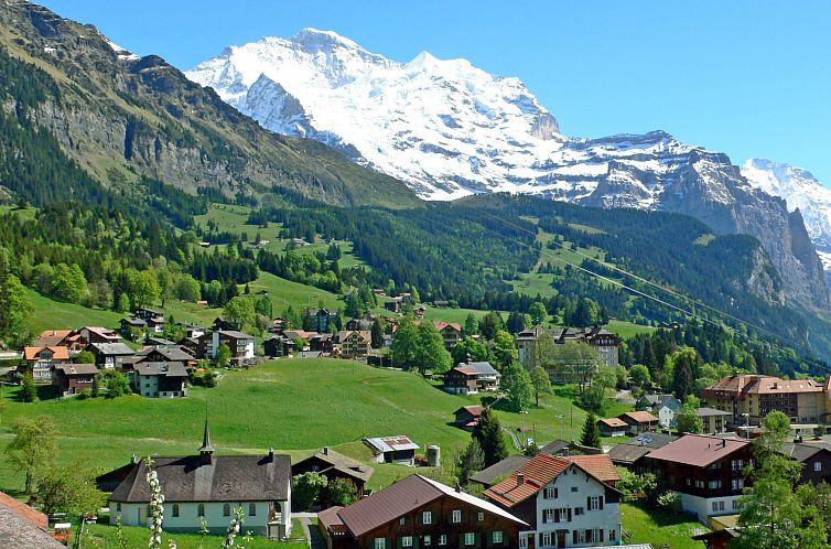 Appartement Alpina Apt. CH