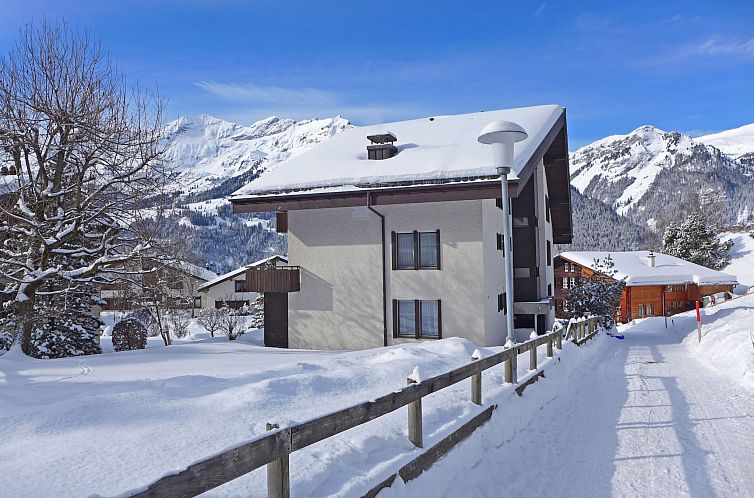 Appartement Rustica Apt. M
