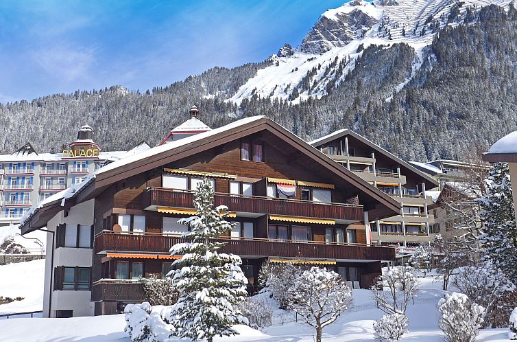Appartement Rustica Apt. M