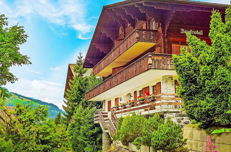 Appartement Bergkristall Apt. P