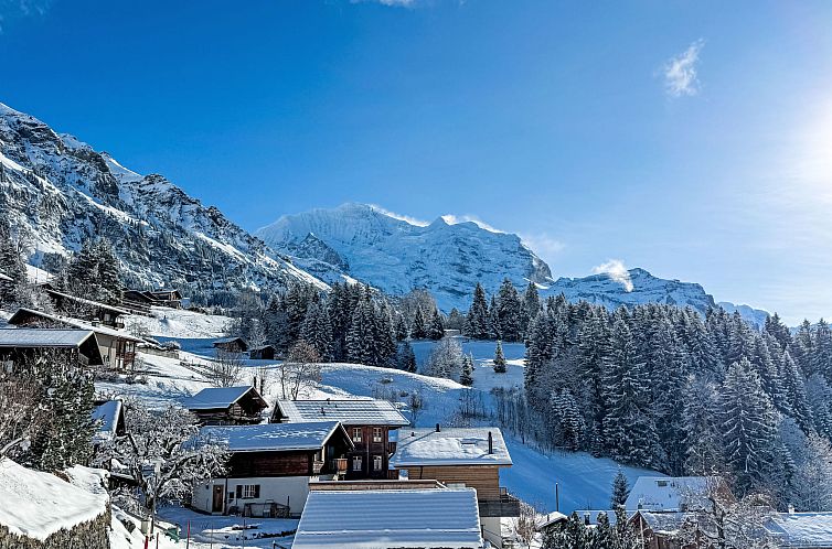 Appartement Breithorn Residence Apt.3