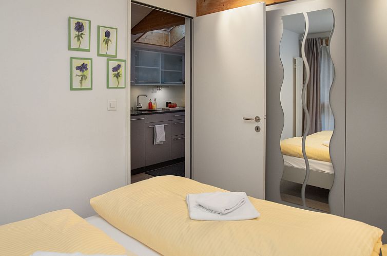 Appartement Breithorn Residence Apt.09