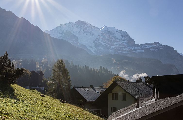 Appartement Drei Tannen