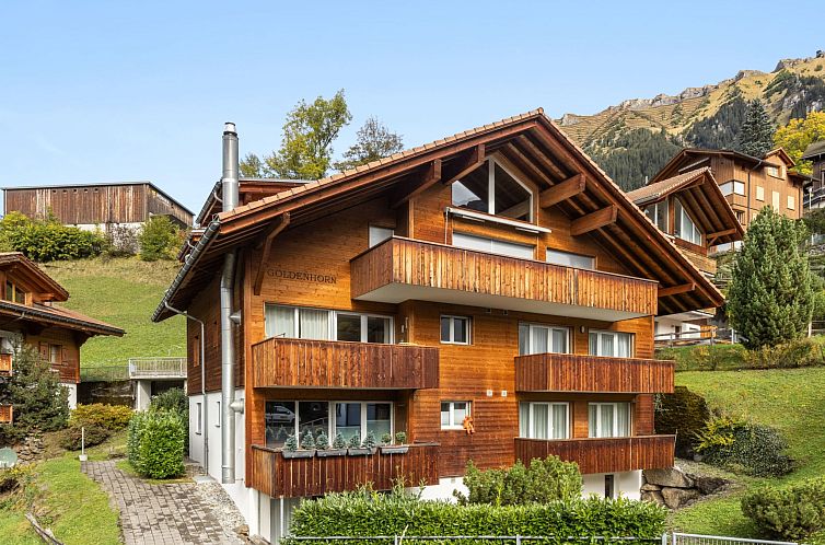 Verblijf 1802944 - Appartement Berner Oberland - Appartement Goldenhorn Apt.S