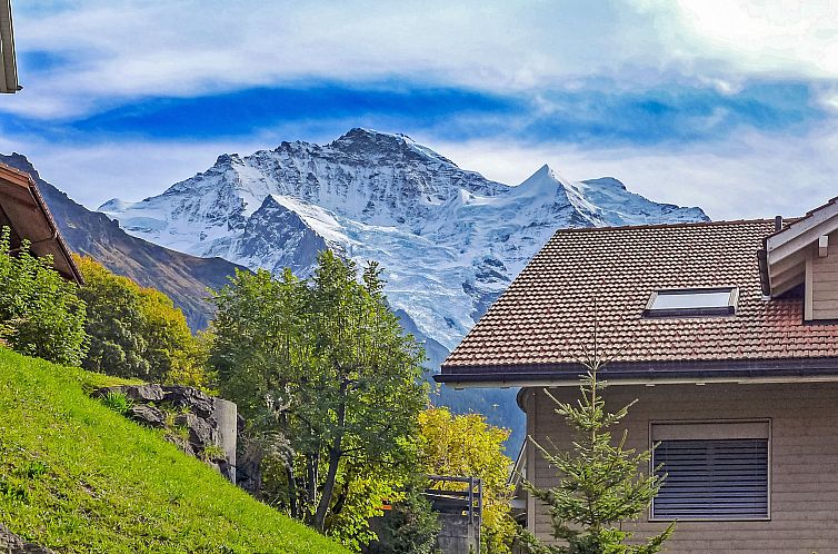 Appartement Panorama Apt. P