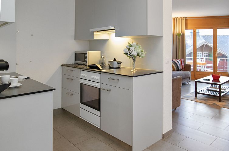 Appartement Eiger Residence Apt.H