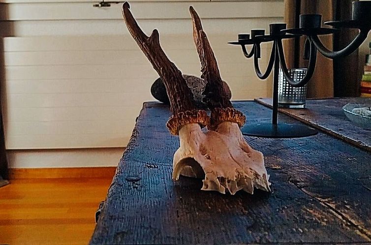 Appartement Chalet Sonnenhof