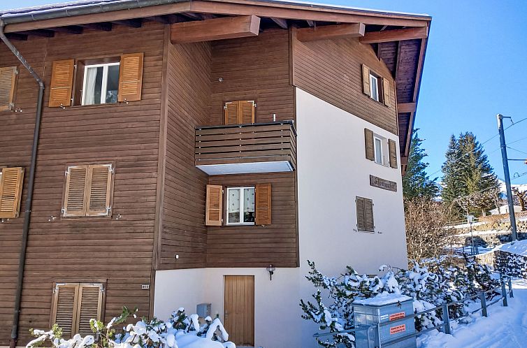 Appartement Schoneggacher Apt. S