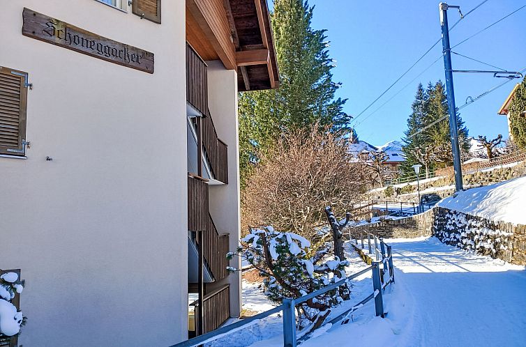 Appartement Schoneggacher Apt. S
