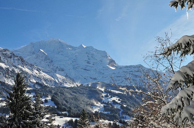 Appartement Schoneggacher Apt. S