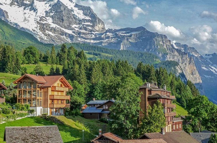 Appartement Schweizerhof Apt. S