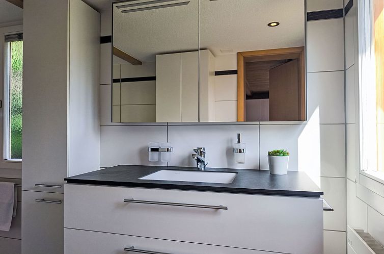 Appartement Galliweidli