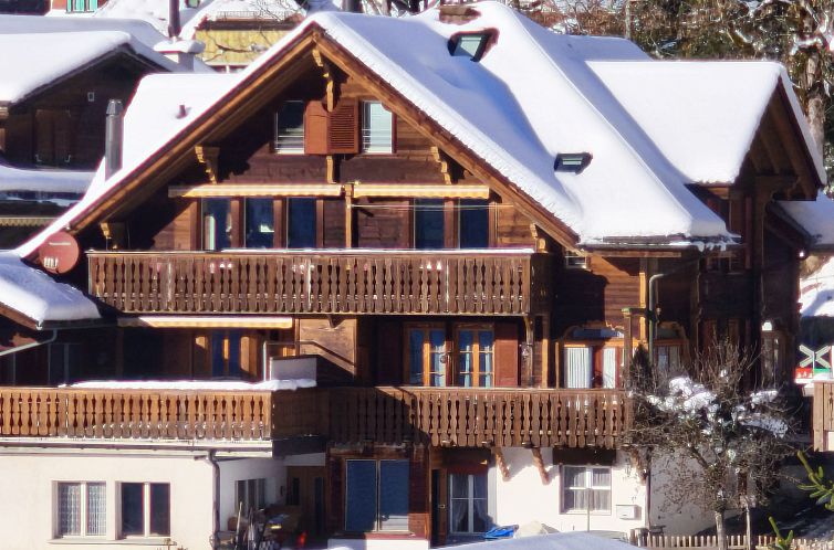 Appartement Chalet Graf Apt 1