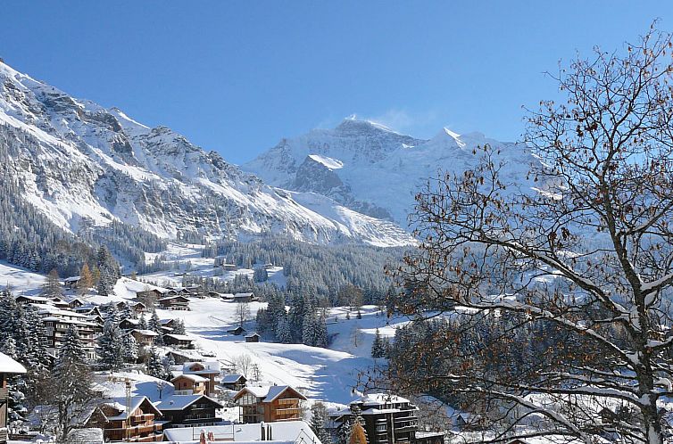 Appartement Chalet Sonnenhof