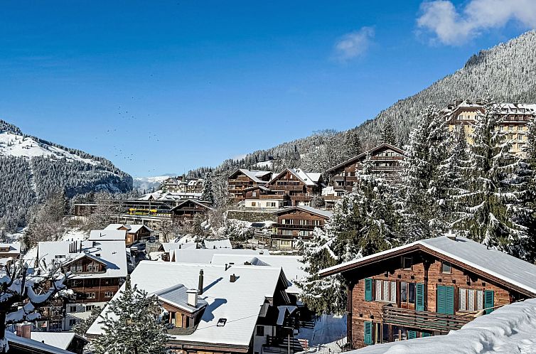 Appartement Chalet Sonnenhof