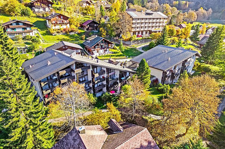 Appartement Im Gruebi Apt. 10