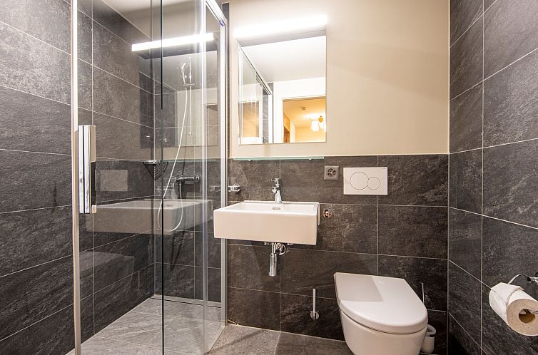 Appartement SWISSPEAK Resorts Meiringen