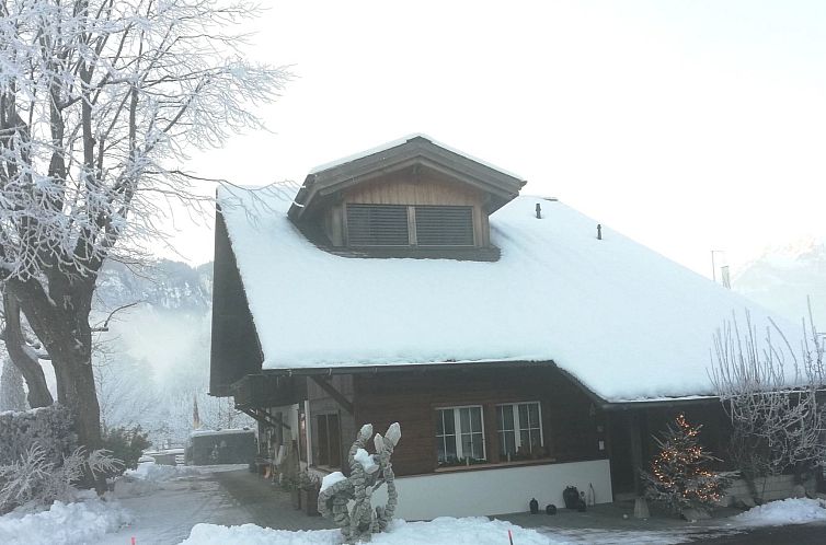 Appartement Steinideen