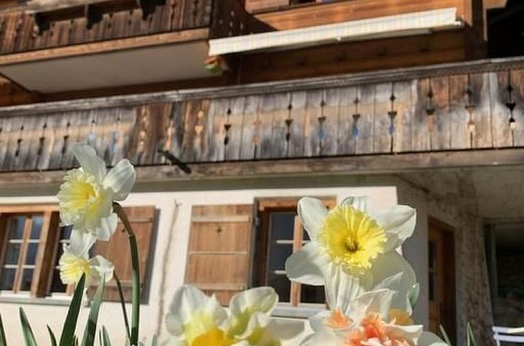 Appartement Sonnig und gemütlich