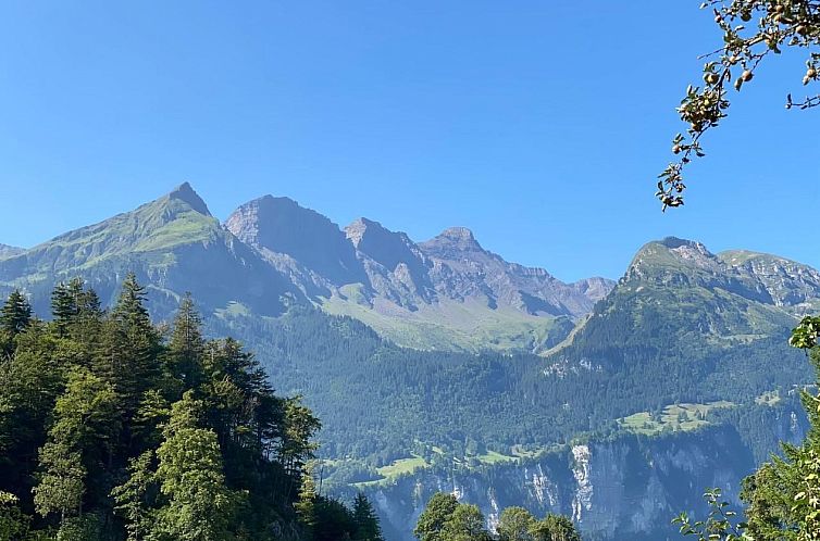 Appartement Chalet Brünig, Apartment Wandelhorn