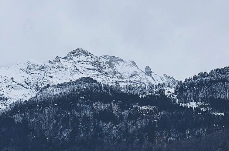 Appartement Mountain 4U
