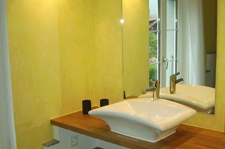 Appartement mountain-panorama DG