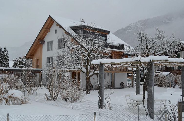Appartement mountain-panorama DG