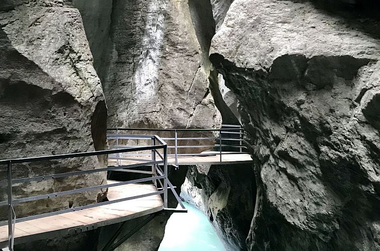 Appartement mountain-panorama DG